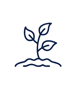 Nature &amp; The Environment